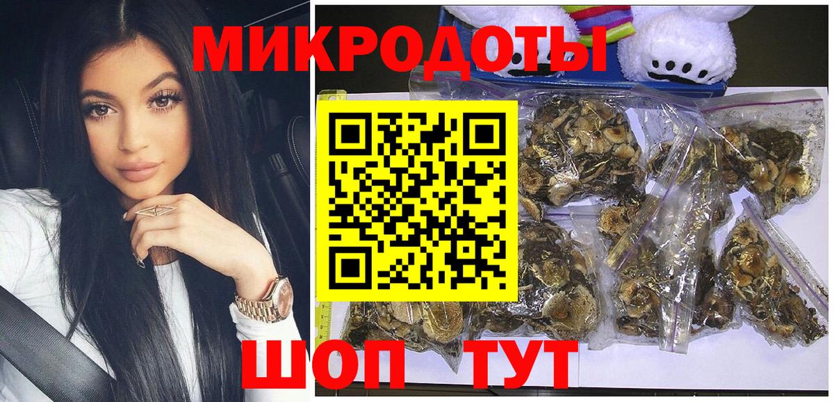 Псилоцибиновые грибы Psilocybe Апрелевка
