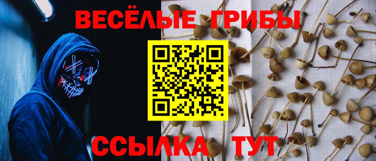 Псилоцибиновые грибы GOLDEN TEACHER  Вход с VPN  что такое наркотик  Апрелевка 
